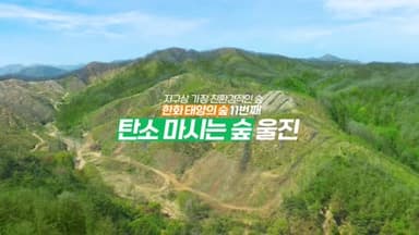 한화 : 태양의 숲 11호: 탄소 마시는 숲 | 경북 울진 편